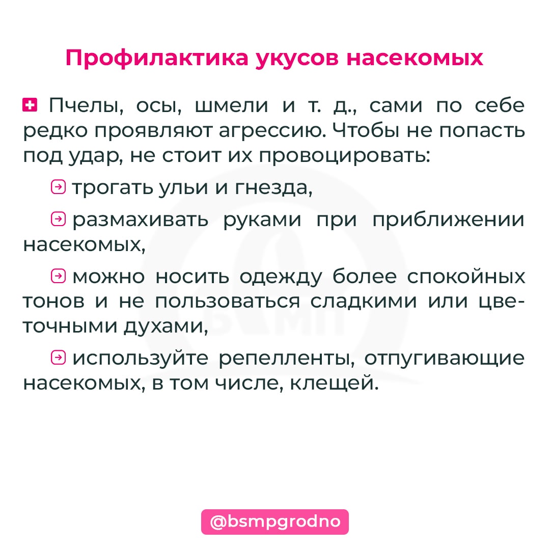 Укусы клопов: как выглядят на теле человека с фото и чем их лечить