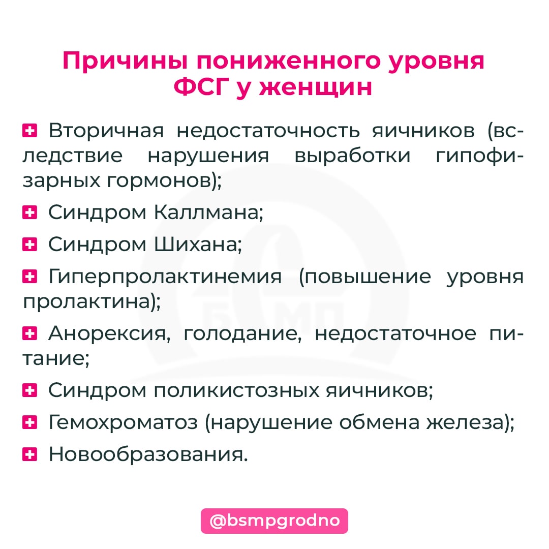 Женские гормоны. ФСГ - БСМП Гродно